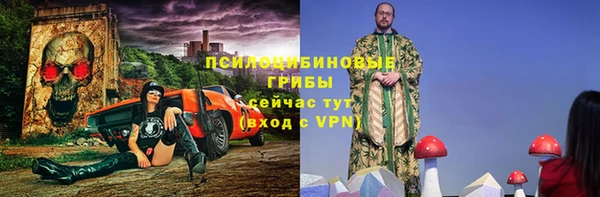 прущая мука Богданович